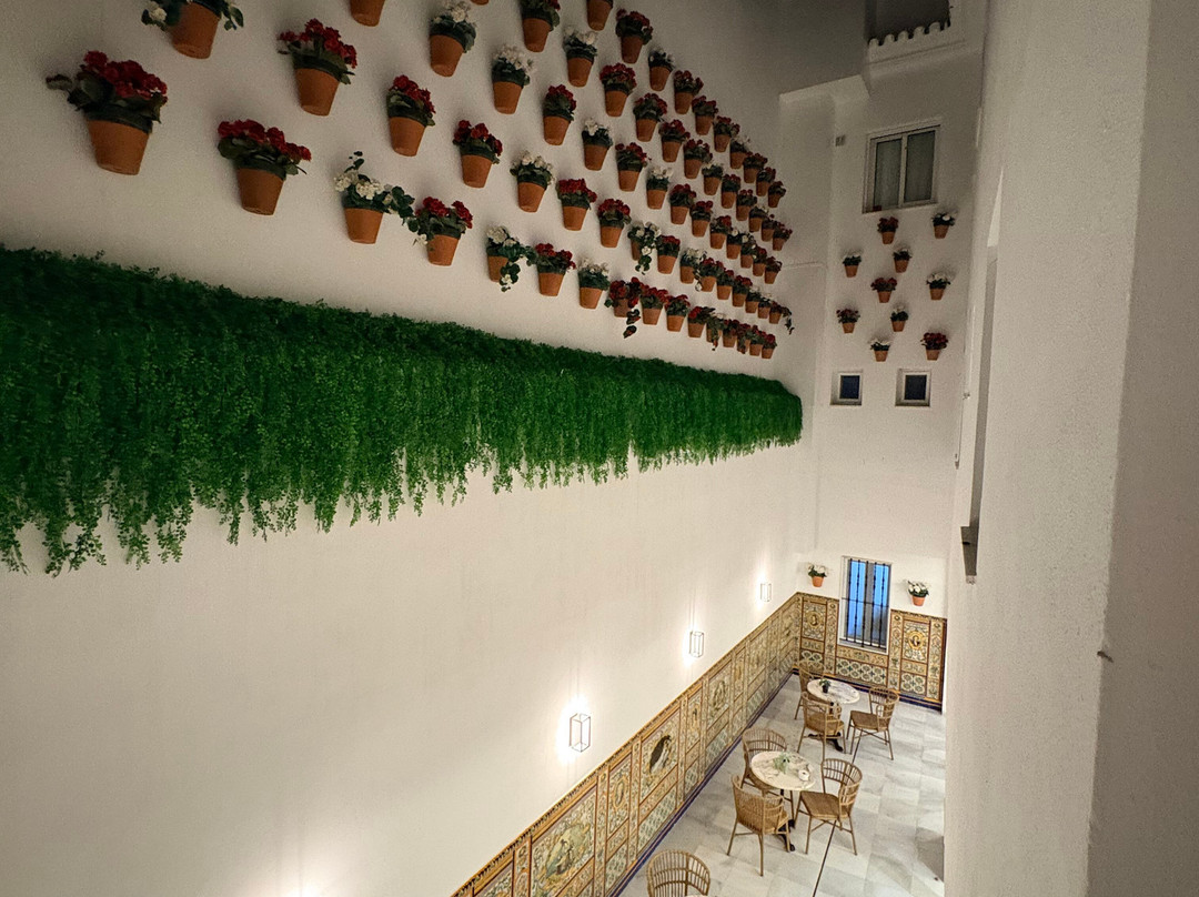 Toruno Del Rocio主图