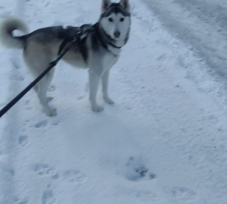 Small & Lovely Hotel Zaluna主图