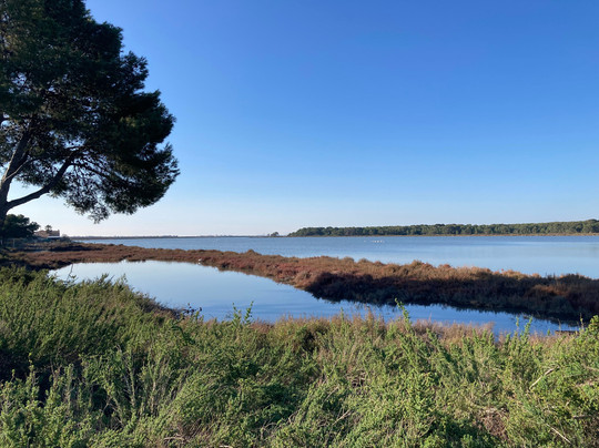 Plage des Aresquiers-Frontignan必去景点