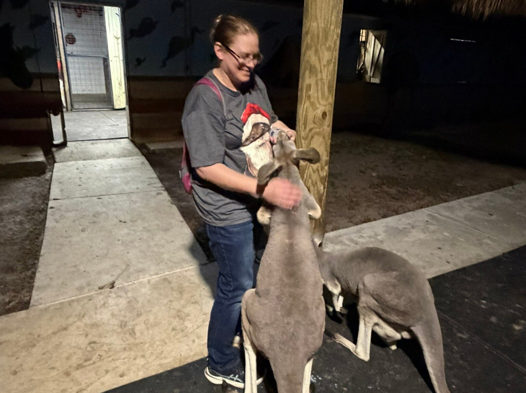 Animal EDventure Park & Safari-博因顿海滩必去景点