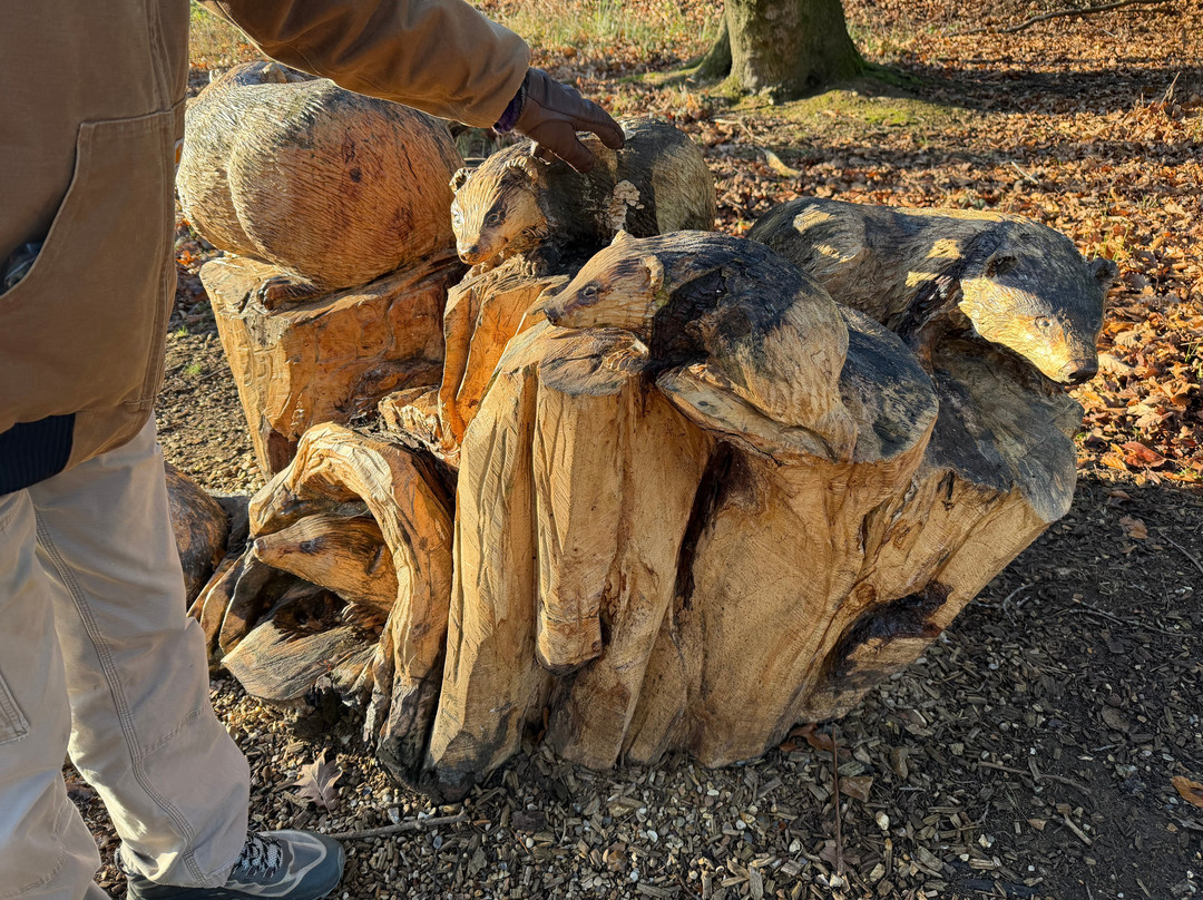 Pensthorpe-Fakenham必去景点