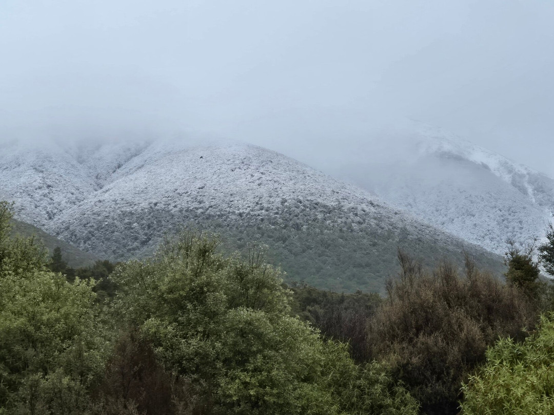 Nelson Lakes Homestay主图