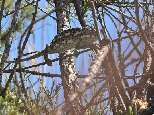 Għadira Nature Reserve-梅雷赫必去景点