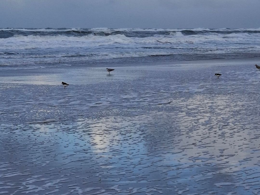 郁金香假日旅馆主图