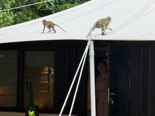 巴厘岛安缦酒店主图