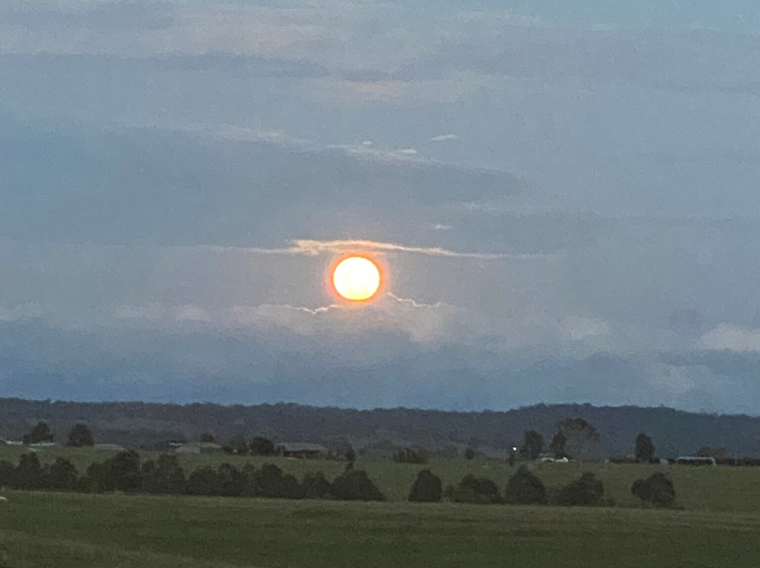 Dusty Hill Vineyard-Moffatdale必去景点