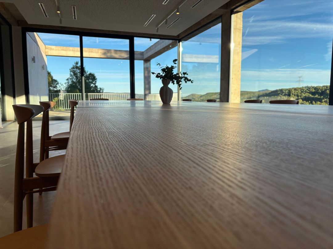 NOVOS Bodegas y Viñedos