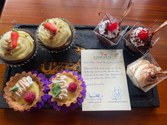 Uzhupud Garden Hotel主图