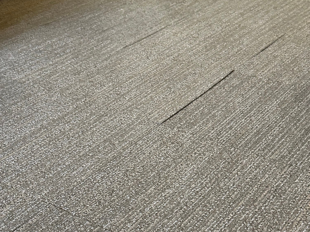 斯马龙贝斯特韦斯特普勒斯套房酒店主图