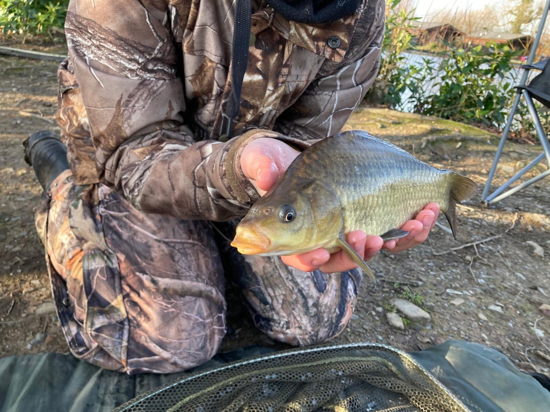 Bron Eifion Coarse Fishing-Criccieth必去景点