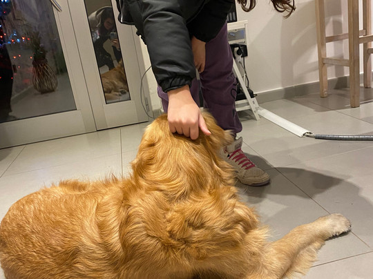 I Fiori di Margherita Luxury B&B主图