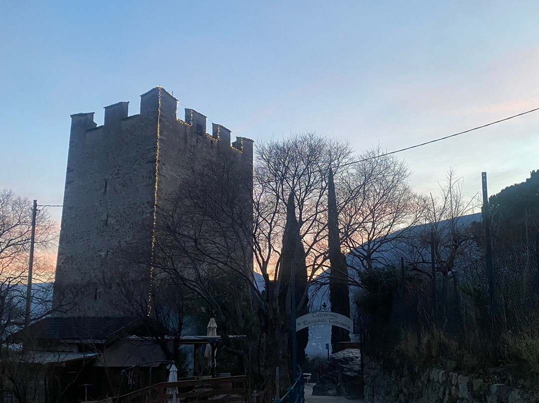 Tappeiner Promenade-梅拉诺必去景点