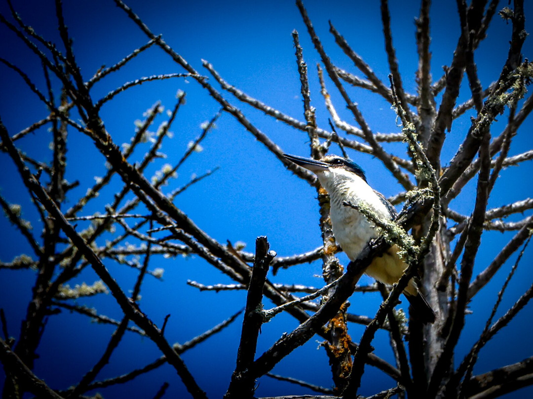 St Anne's Lagoon-Cheviot必去景点