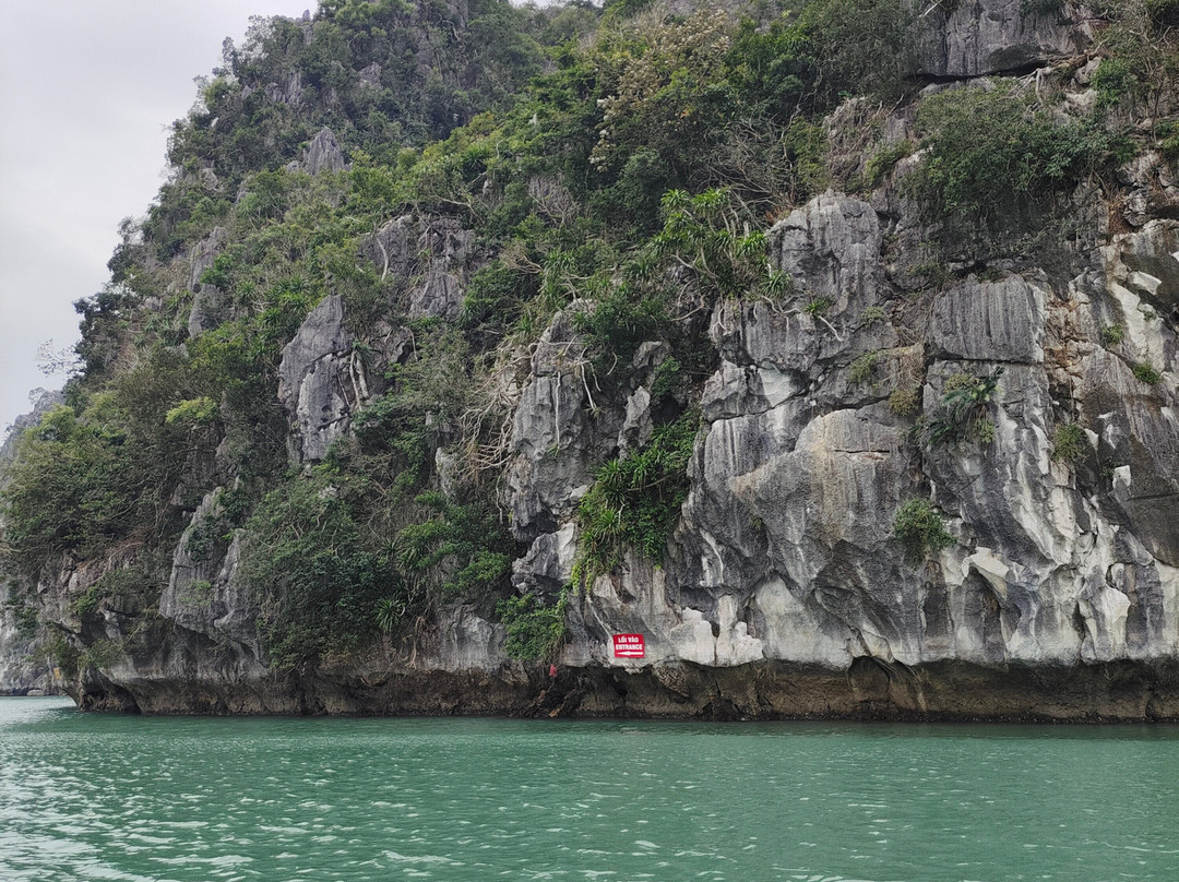 OC Tourist-胡志明市必去景点