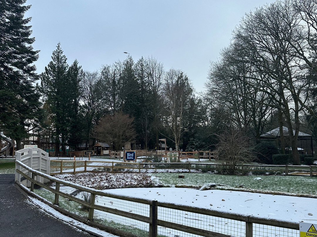 Birdworld-法纳姆必去景点