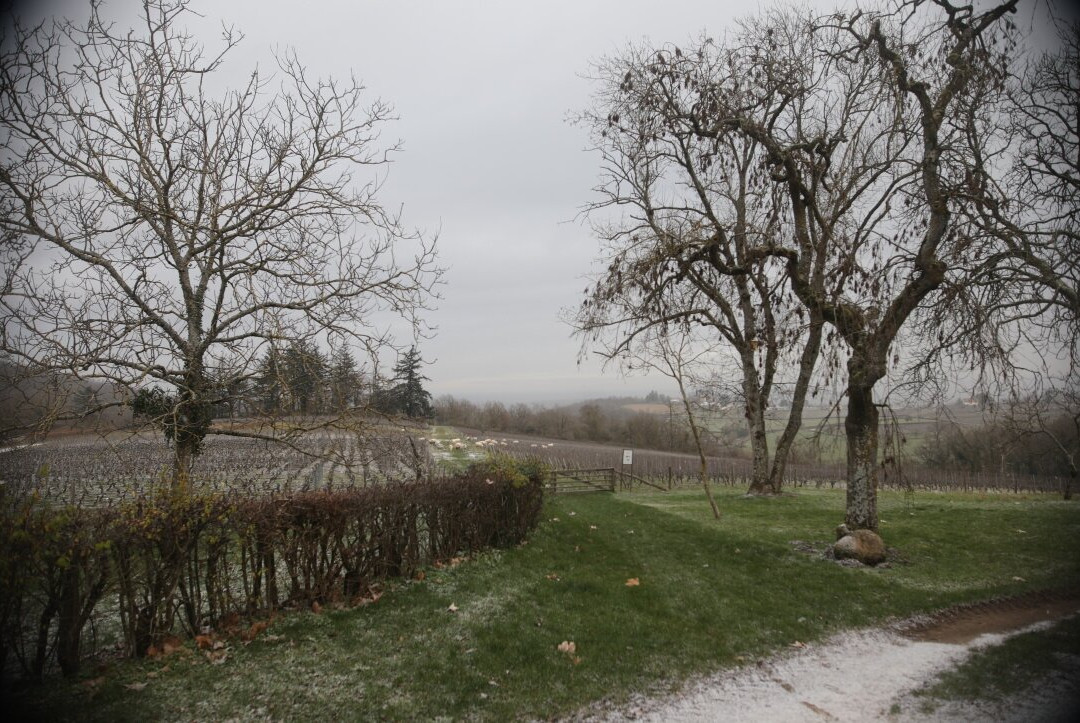 Château De Rougeon-Bissey-sous-Cruchaud必去景点