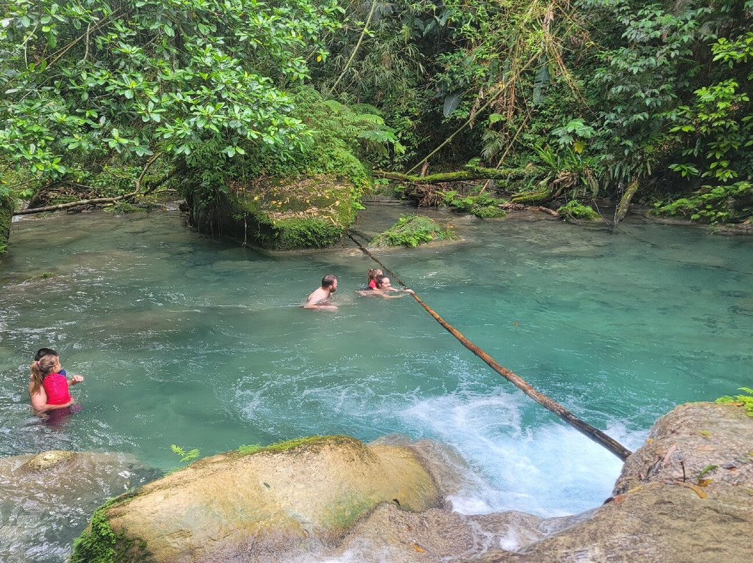 Reach Falls-安东尼奥港必去景点