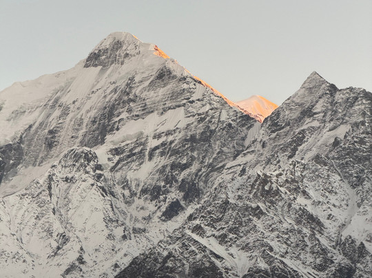 Shinta Mani Mustang主图