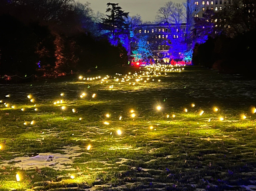 布鲁克林植物园-布鲁克林必去景点