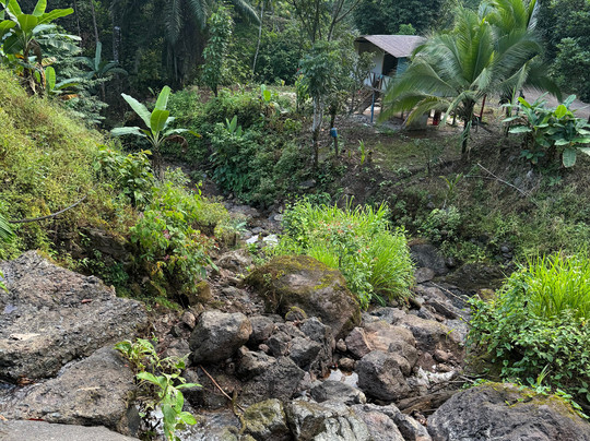 Real Adventure Tours-克波斯必去景点