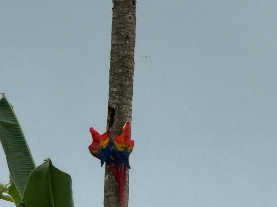 Hotel Margarita主图