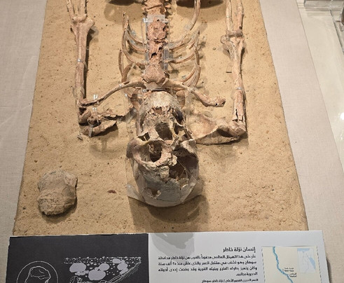 National Museum Of Egyptian Civilization NEMC-开罗必去景点