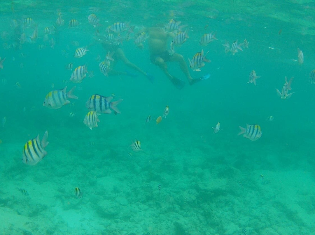 Matemwe Beach-Matemwe必去景点