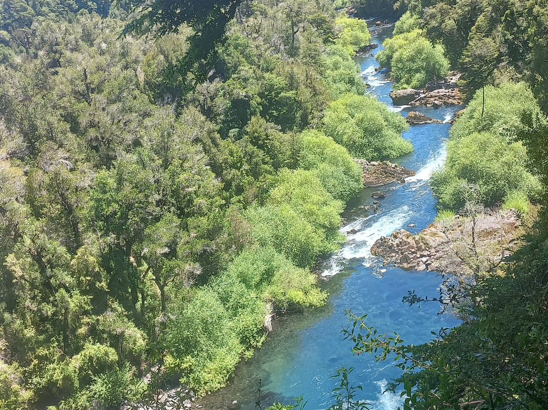 Huilo Huilo Reserva Biológica-Los Rios Region必去景点