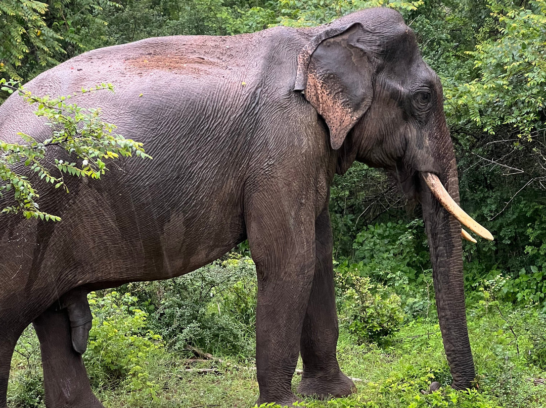Freedom Safari Jeep Tours-蒂瑟默哈拉默必去景点