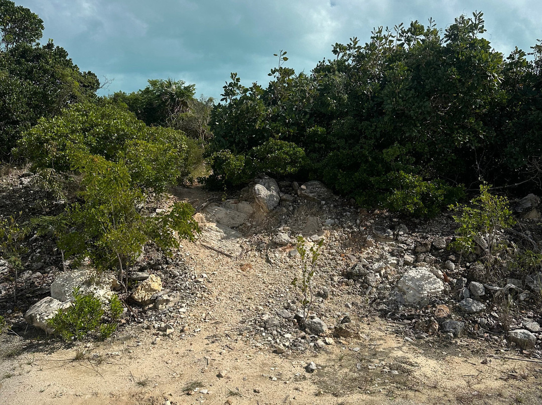 Long Bay Beach-普罗维登西亚莱斯必去景点