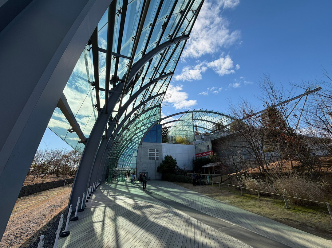 福岛水族馆-盘城市必去景点