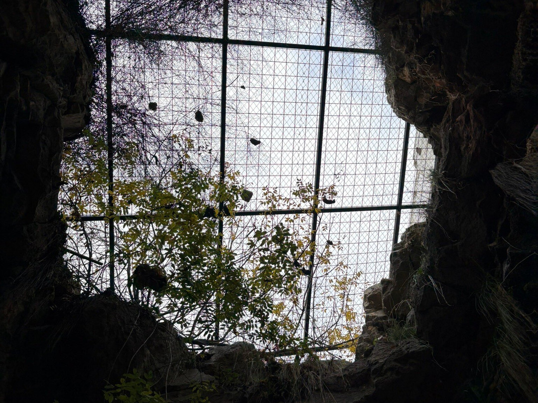 Eshab-i Kehf Cave Mosque-Tarsus必去景点