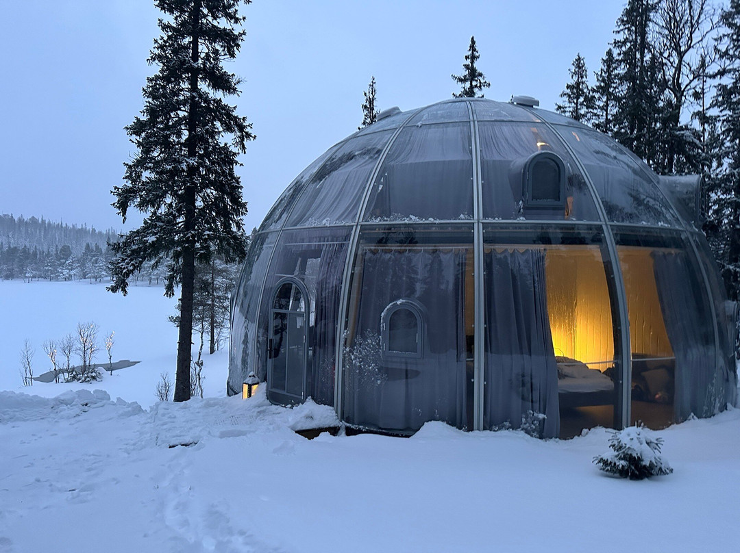 Rypetoppen Adventurepark-Meraker Municipality必去景点