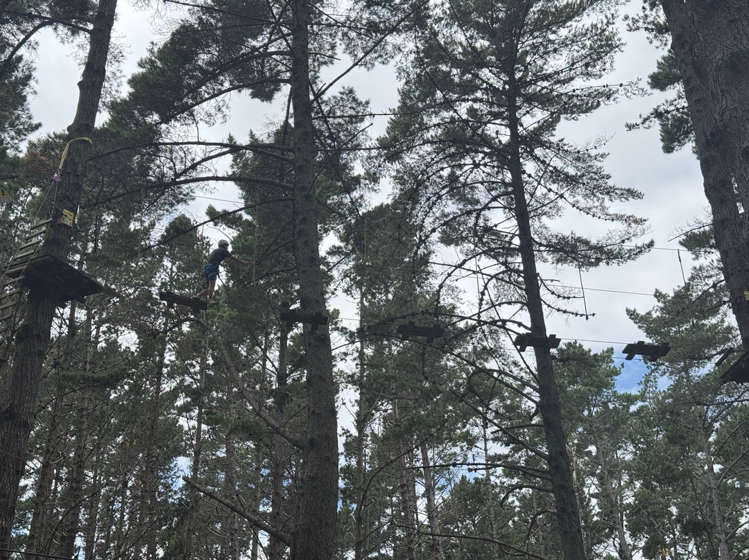 Tree Adventures-伍德山必去景点