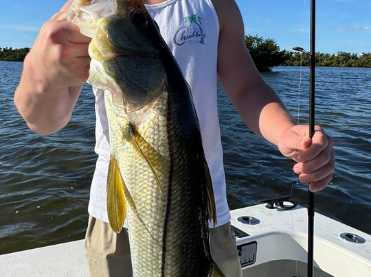 Anna Maria Charters-Holmes Beach必去景点