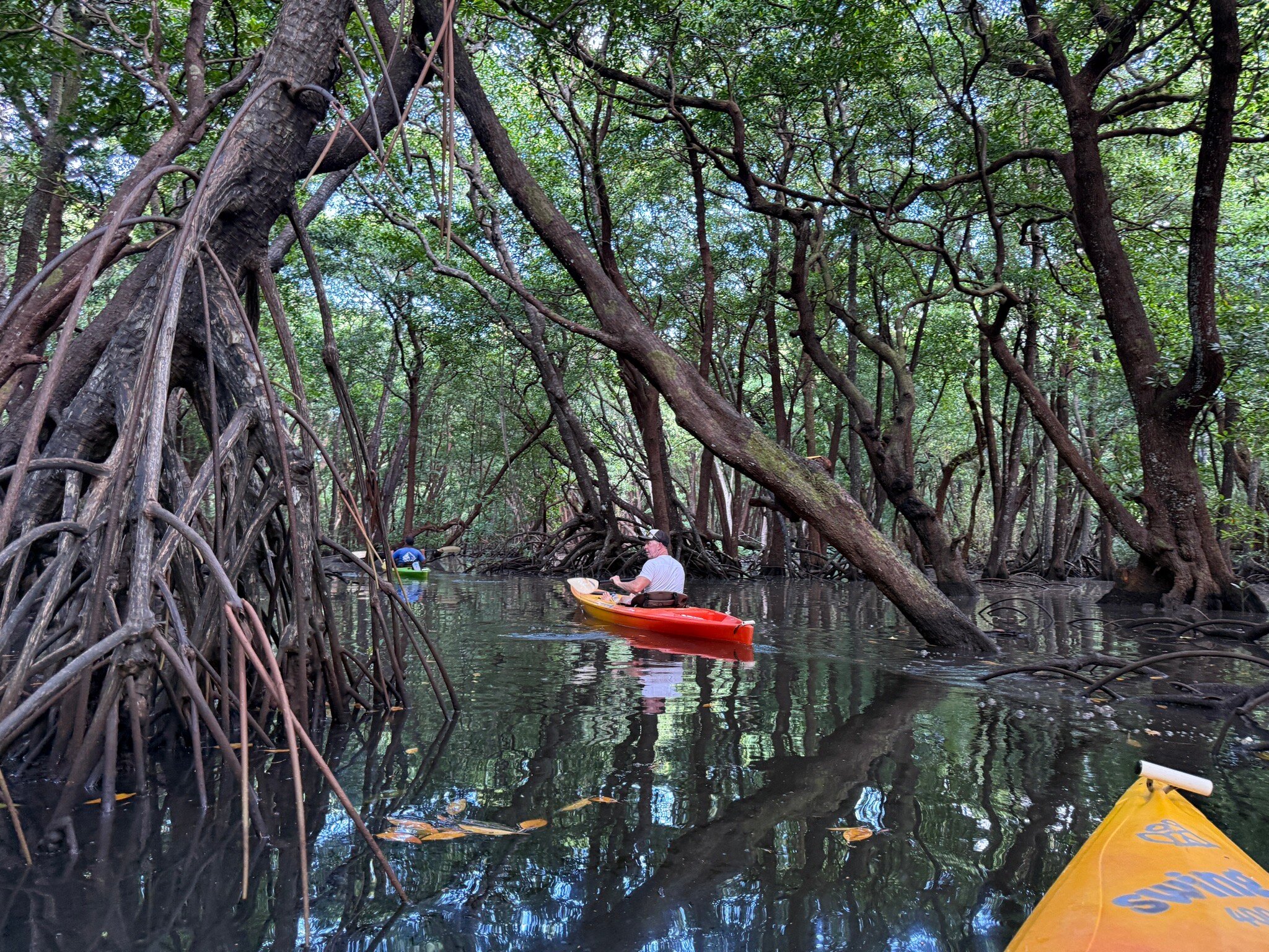 鳐鱼湾度假村-官方