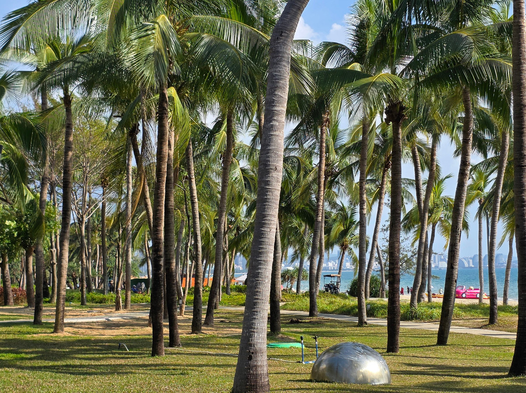 椰梦长廊-三亚市必去景点