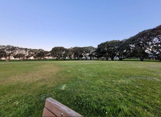 Milford Beach Reserve