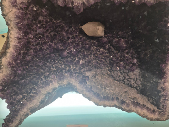 Museo de Naturaleza y Arqueologia-圣克鲁斯-德特内里费必去景点