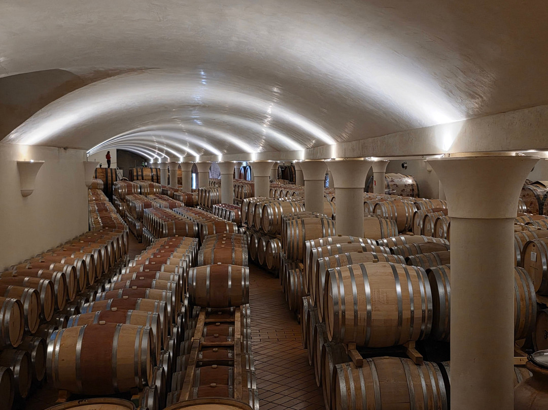 Tenuta di Nozzole-格雷韦伊恩基亚恩蒂必去景点