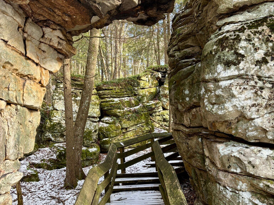 Beartown State Park-Marlinton必去景点