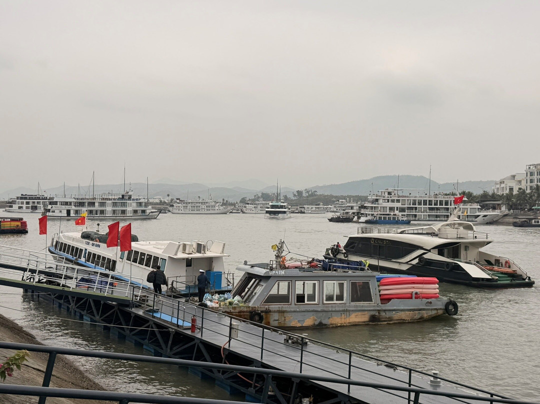 Erina Cruise-下龙湾必去景点