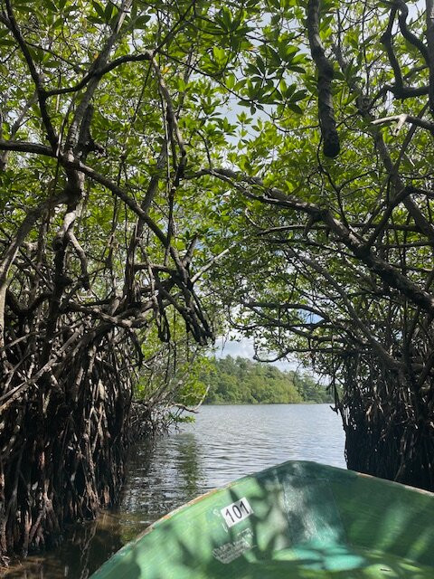 Journey Lanka-Bandaragama必去景点