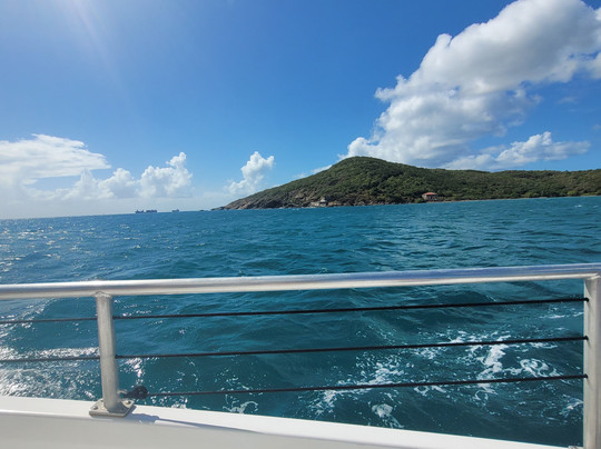 Castaway Cat-夏洛特阿马利亚必去景点