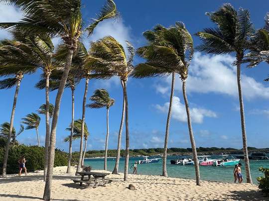 Tarzan Excursion Guadeloupe-Sainte-Anne必去景点