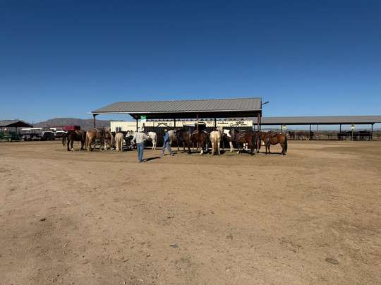 KOLI Equestrian Center-钱德勒必去景点
