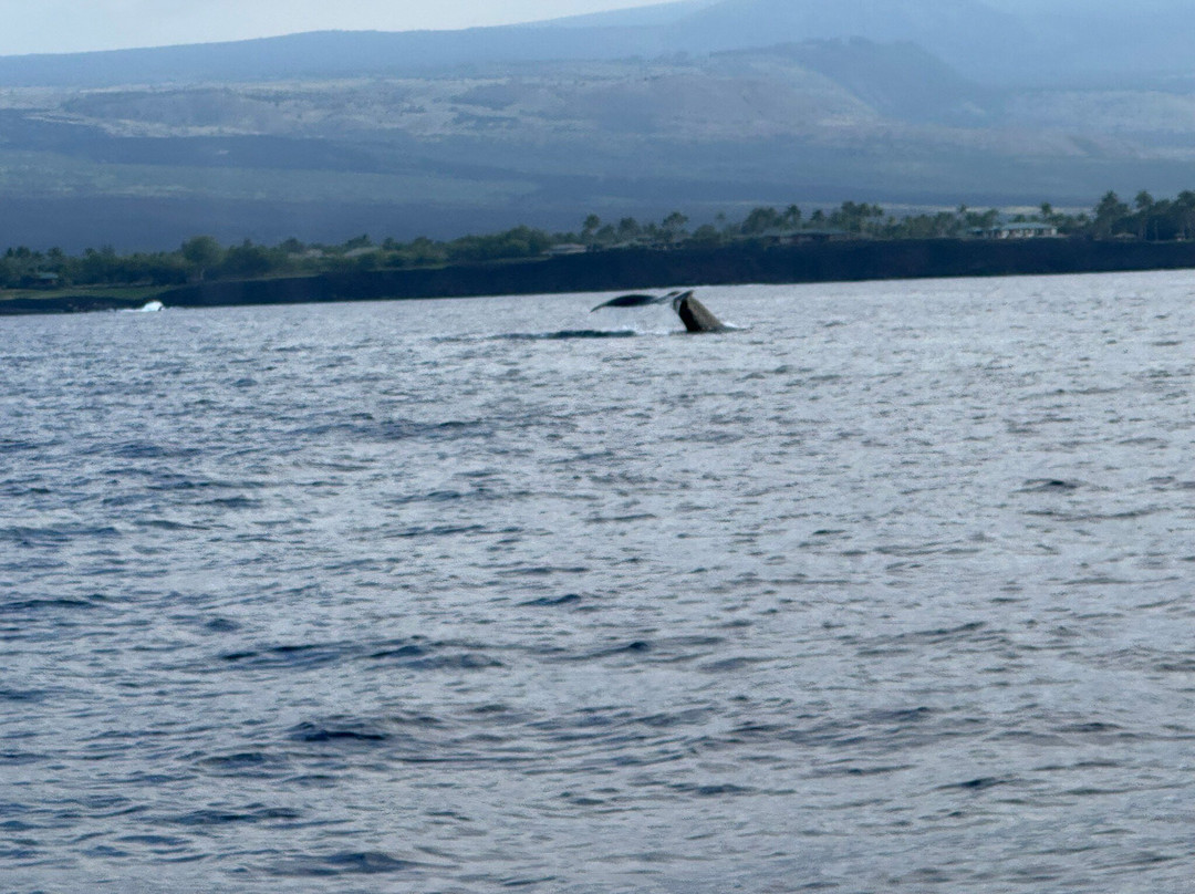 Adventure X Boat Tours-卡慕也拉必去景点