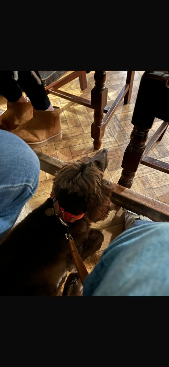 马尔堡公爵酒店-官方