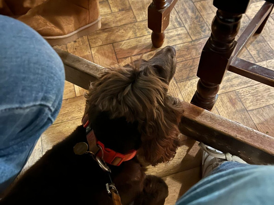 马尔堡公爵酒店主图