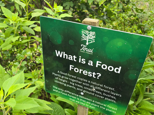 Tinui Food Forest-Castlepoint必去景点